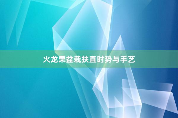 火龙果盆栽扶直时势与手艺