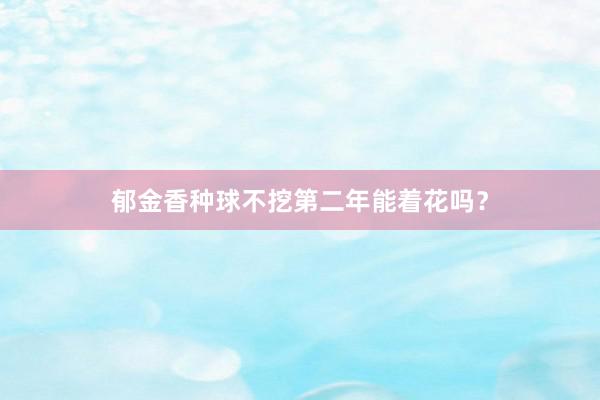 郁金香种球不挖第二年能着花吗？