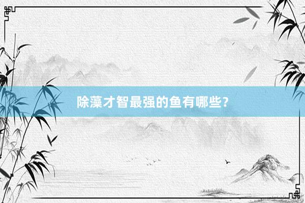 除藻才智最强的鱼有哪些？